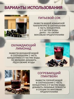 Концентированная соковая основа Черная смородина , ТМ Фруктовая Бочка, 700 гр