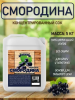 Концентрированный соковая основа Черная смородина, ТМ Фруктовая Бочка, 5 кг
