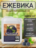 Концентрированный соковая основа Ежевика ТМ Фруктовая Бочка, 5 кг